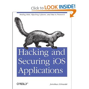 Hacking and Securing iOS App