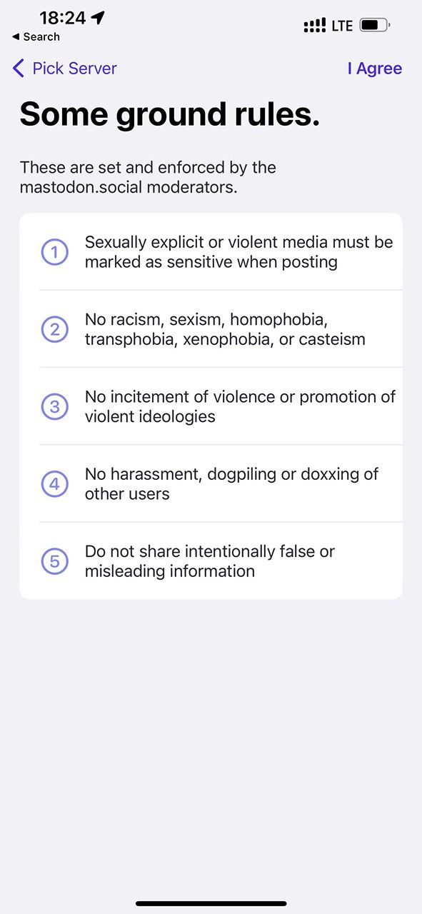 Example of local rules for the mastodon.social server. Given that this is the server of Mastodon's creator, they can in part be considered as general policies.