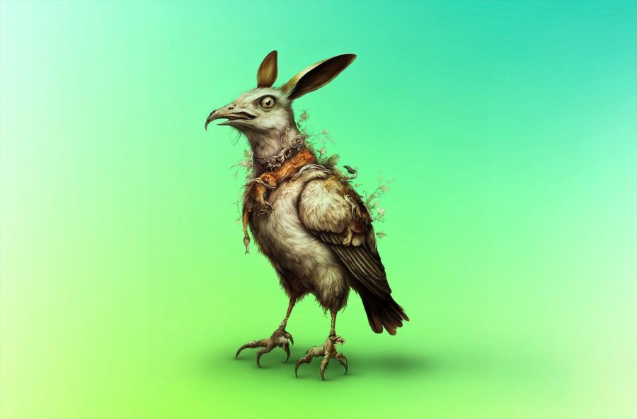 How to verify the authenticity and origin of photos and videos