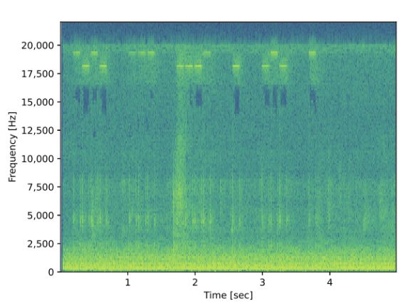 Spectrogram of signals transferring data via the speaker