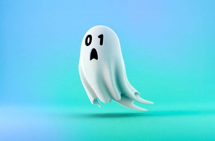 Where does the data stolen in a phishing attack go?