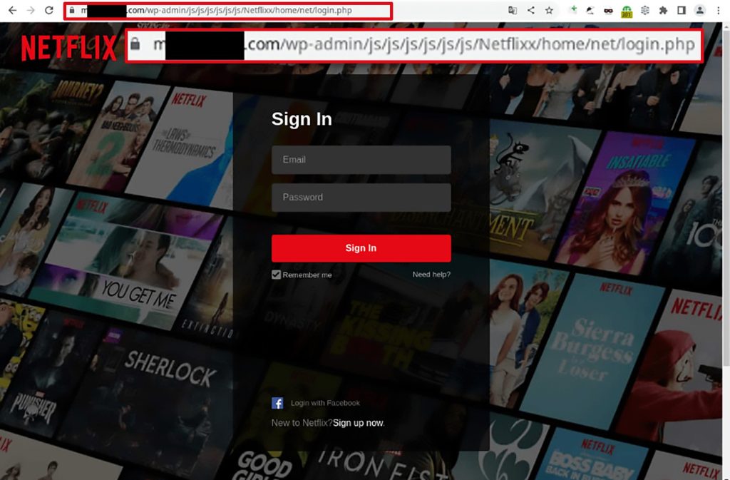 Look at the address bar: this is definitely not Netflix! Don't enter your credentials here!