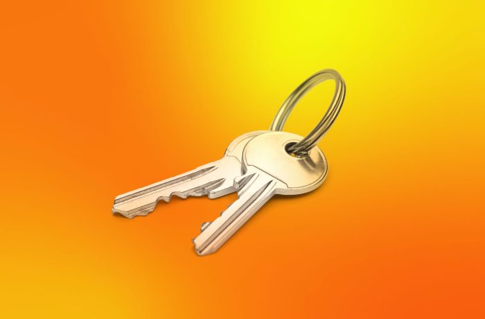 Passkey support in business applications
