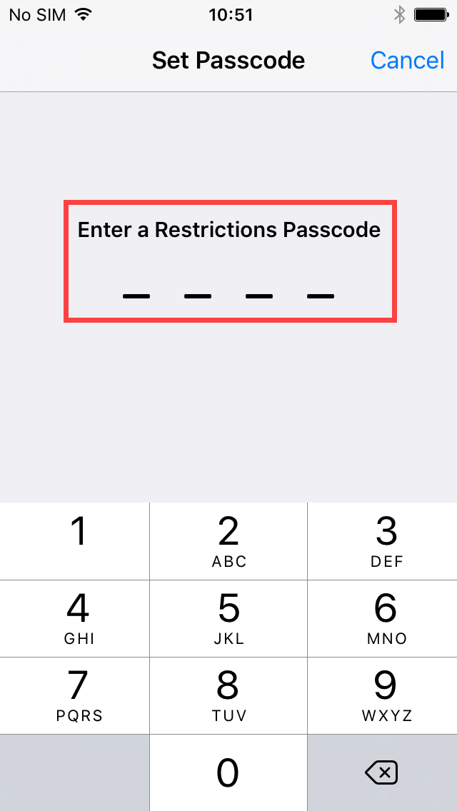 Код safe kids. Как узнать код пароль ограничений. Введите код пароль ограничений на iphone что это. Введите четырехзначный код. Пароль на запрет номеров.