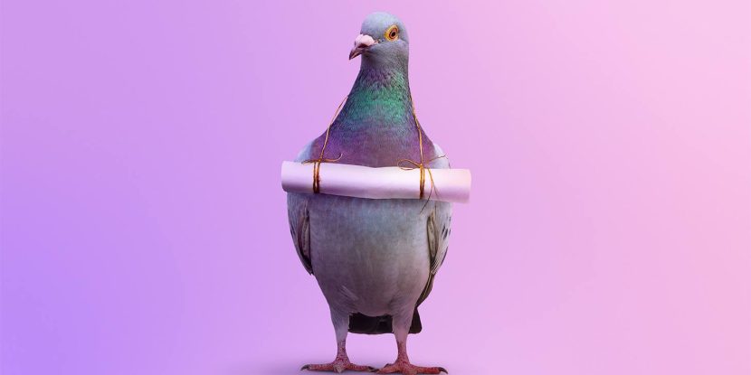 What to do if you get a phishing email