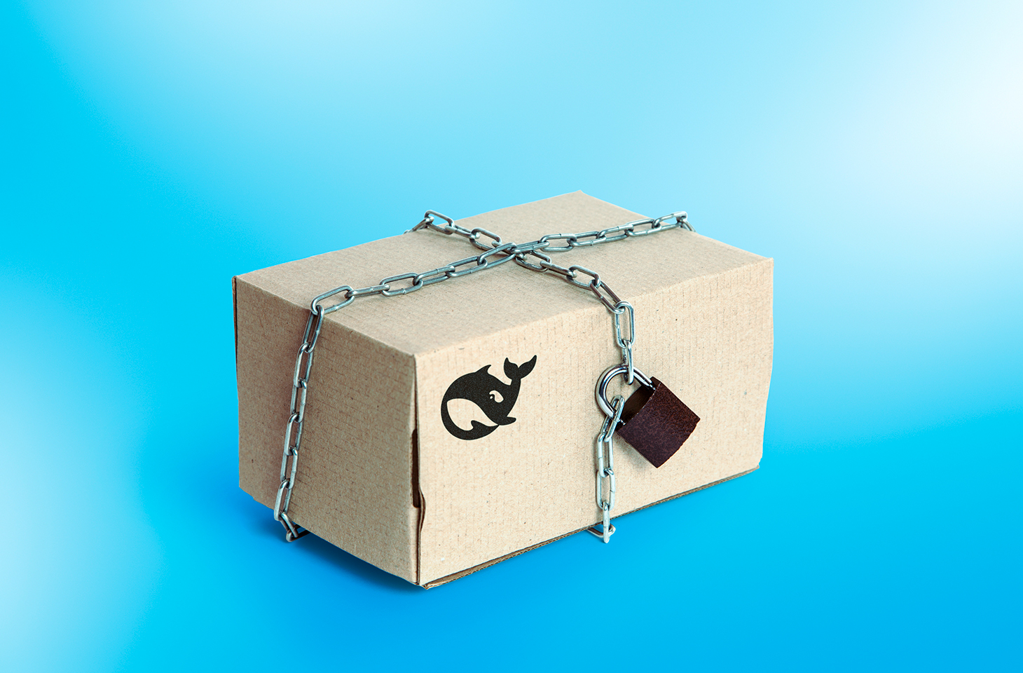 How to use DeepSeek both privately and securely