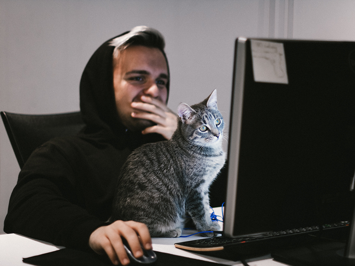 remote working cat laptop cybersecurity training homeworkers