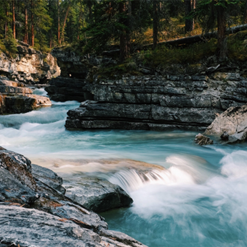 river privacy predictions 2020