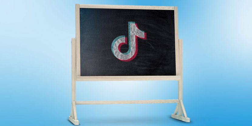 Schrödinger's kittens: How TikTok can help educate your kids