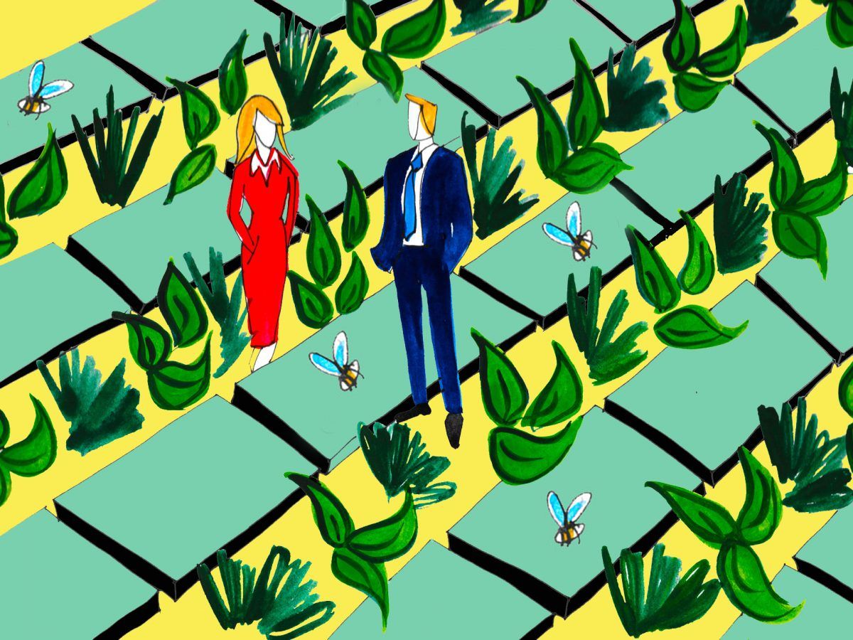 Professionally dressed man and woman standing in a field surrounded by greenery, solar panels and bees