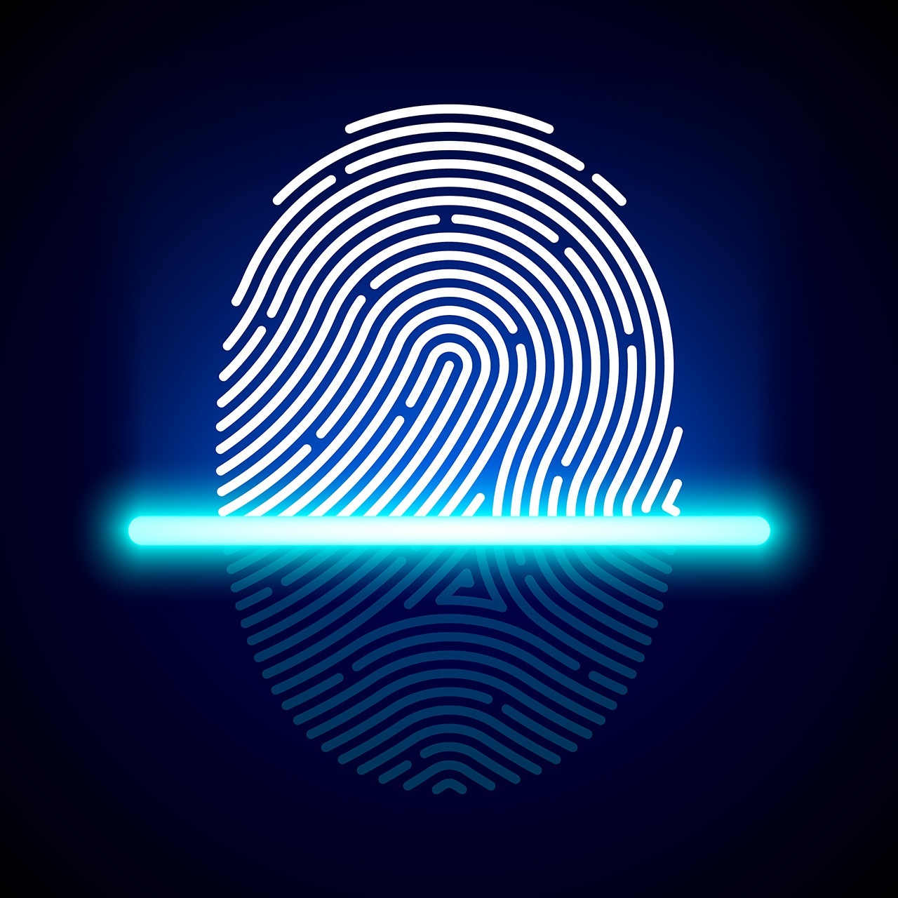 How Do You Say Fingerprint Scanner In Spanish