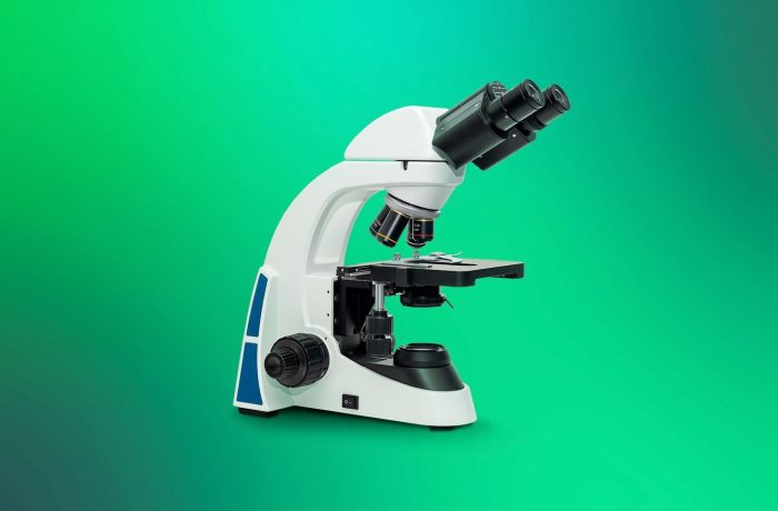 Local KTAE and the IDA Pro plugin