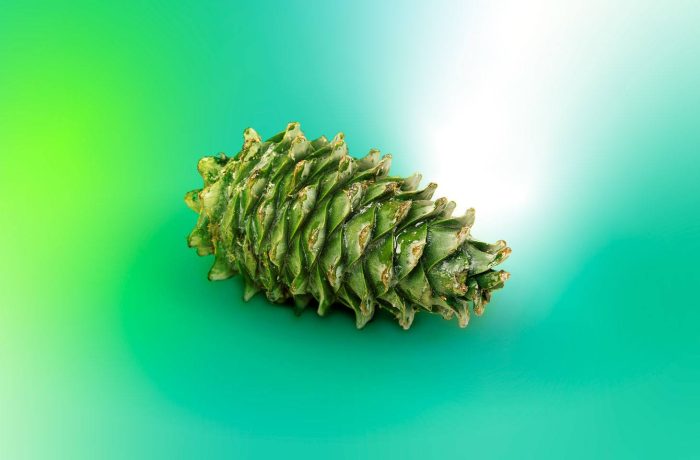 Nuove leggi e tendenze di sicurezza informatica nel 2026