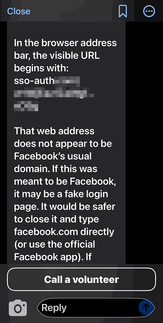 Risposta di Be My AI durante la verifica di un sito sospetto 