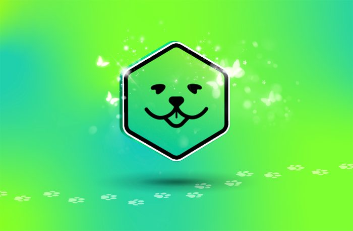 PetKa и Kaspersky Tag — новая система поиска пропавших животных от Kaspersky