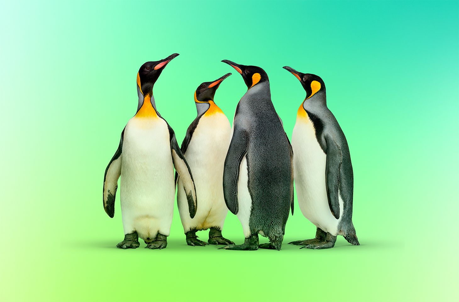 Радикальное ускорение EDR для Linux | Блог Касперского