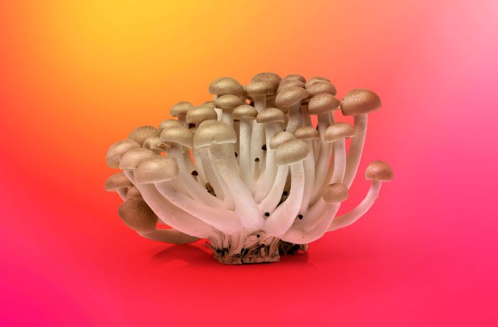 Основные сценарии атак с подделкой сайта и бренда организации