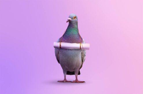 Bir kimlik avı e-postası alırsanız ne yapmalısınız?