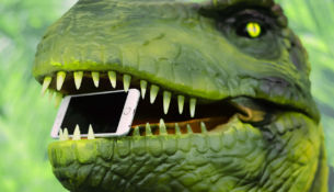 Vulnerabilities in the iPhone