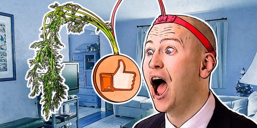 Free your digital life