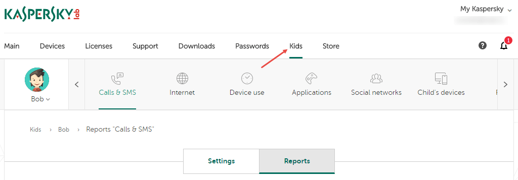 kaspersky manager