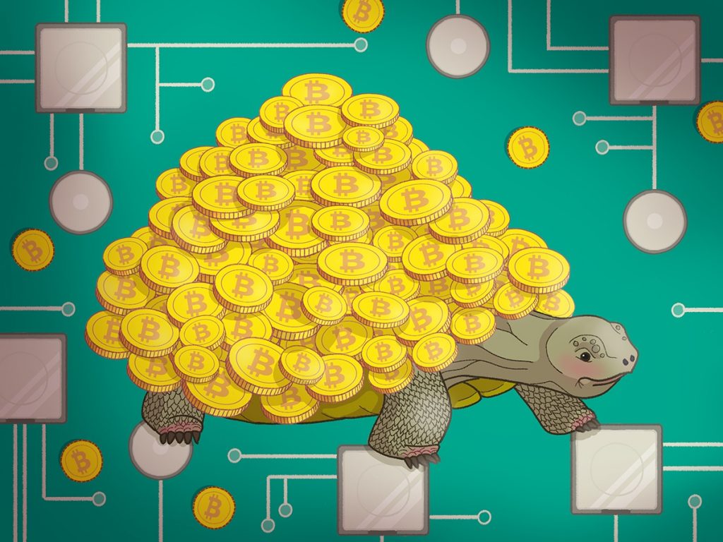 cryptojacking turtle