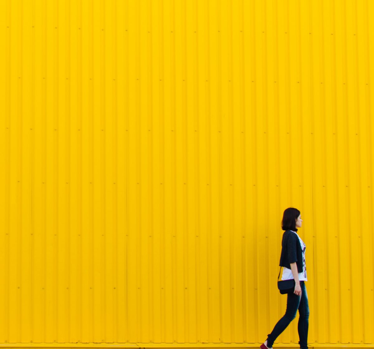 startup survival guide