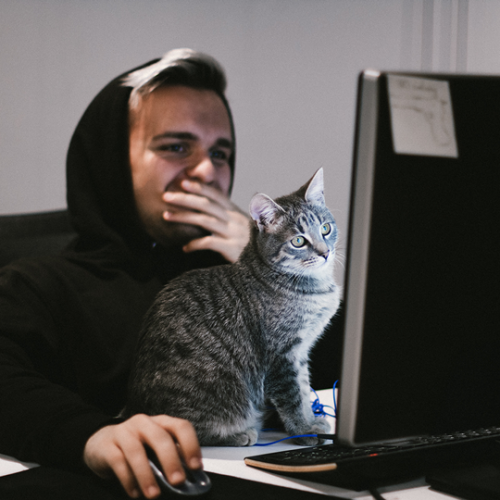 remote working cat laptop cybersecurity training homeworkers