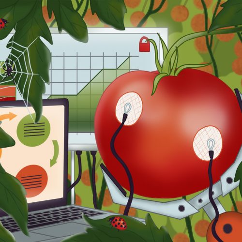 Smart agriculture and food