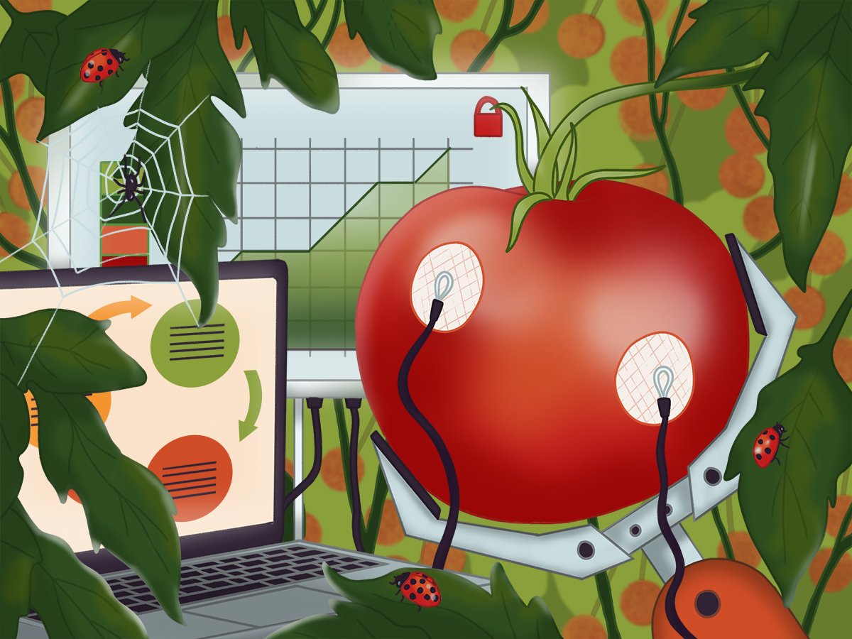 Smart agriculture and food