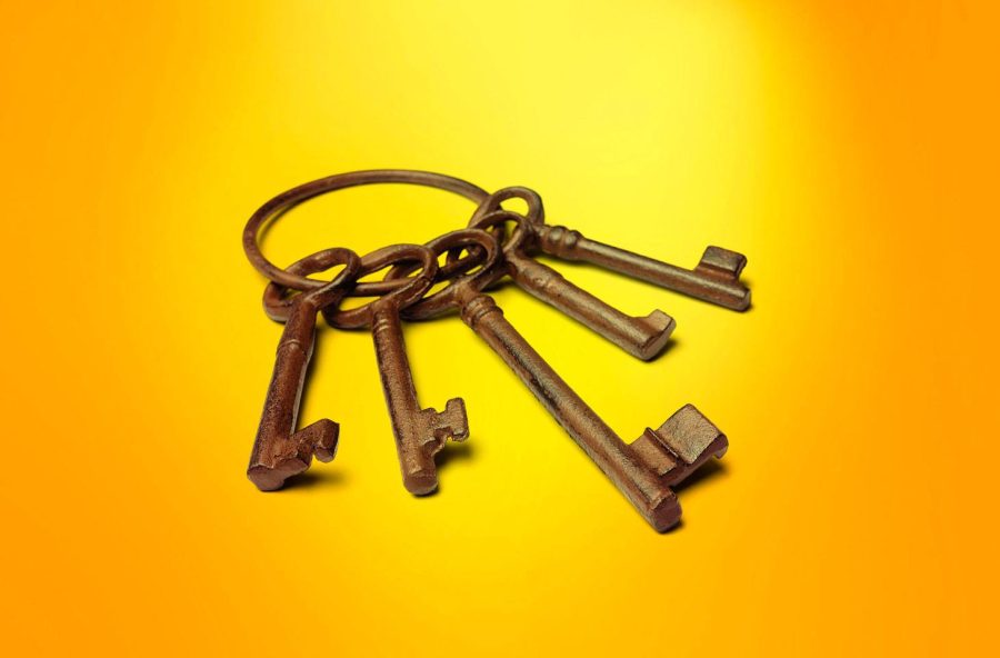 Beware of the fake KeePass password manager