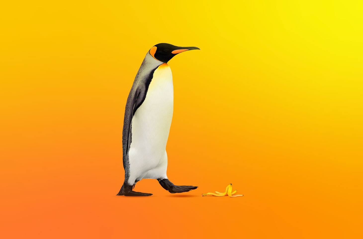 CVE-2025-6019: time to upgrade Linux | Kaspersky official blog
