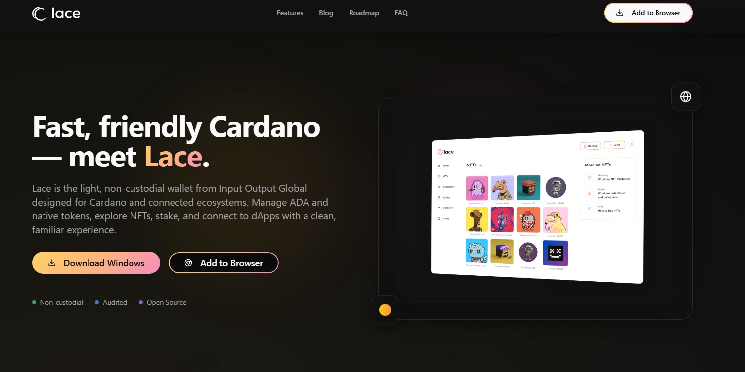 Fake Lace crypto wallet website