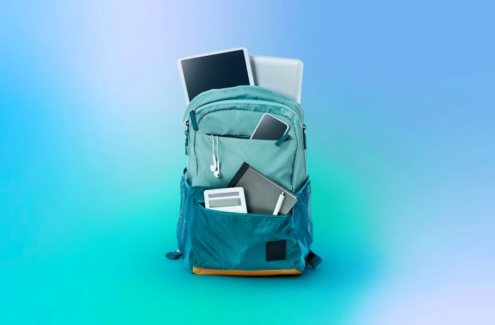 Ransomware attacks on schools and colleges: how to protect educational infrastructure