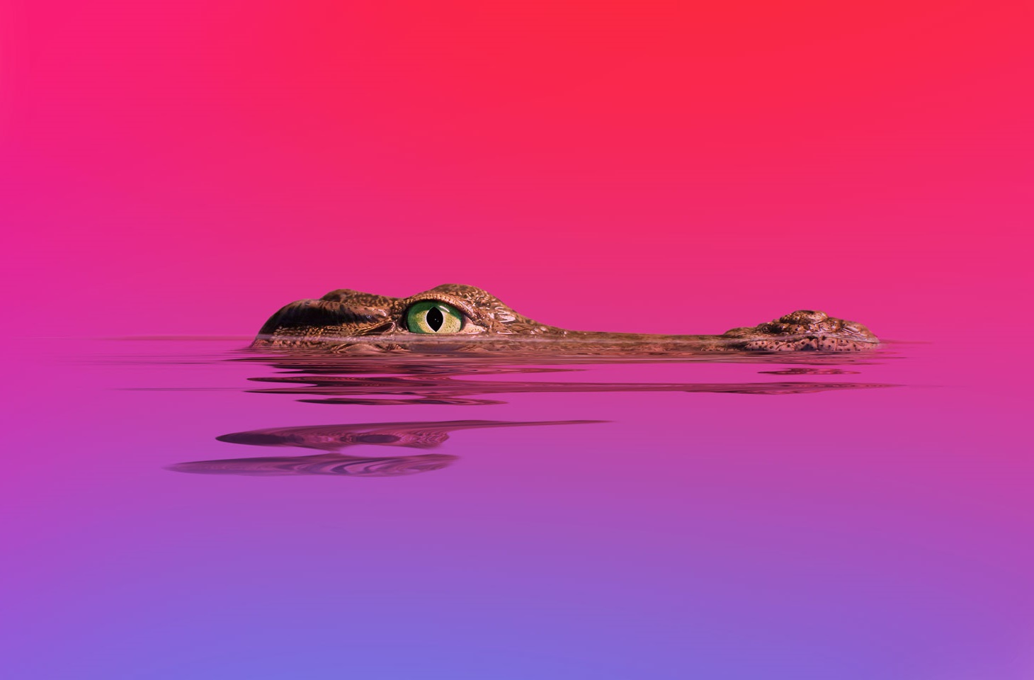 AMOS and Amatera disguised as AI agents | Kaspersky official blog