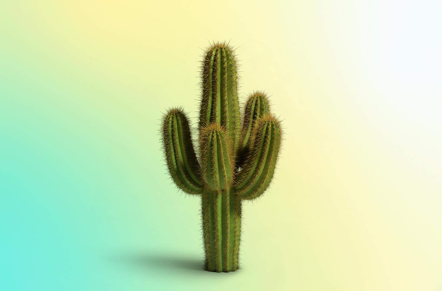 How to protect your privacy while using smart sex toys | Kaspersky official blog