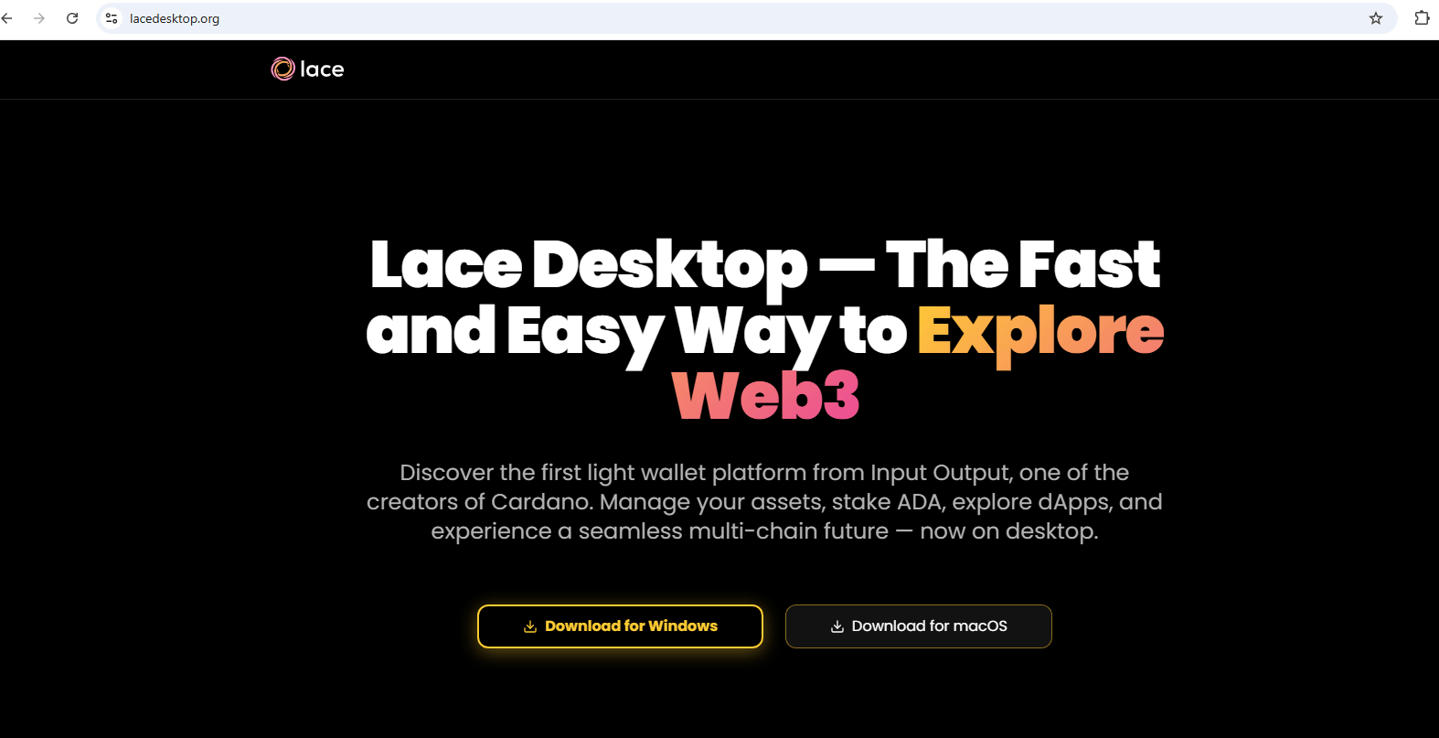 Un autre faux site consacré à Lace