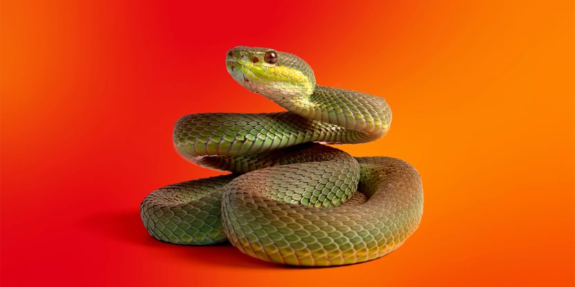 Os invasores estão distribuindo malwares por meio de repositórios falsos no GitHub como parte da campanha GitVenom.