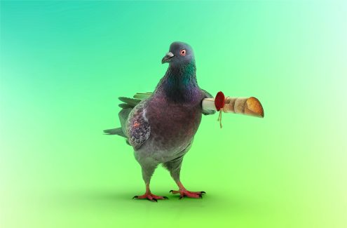 12 Tipps zur sicheren Nutzung von WhatsApp, Telegram, Signal, Viber, WeChat und anderen Messenger-Apps