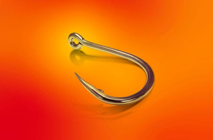 Eine Phishing-Betrugsmasche, die auf Ledger-Benutzer abzielt