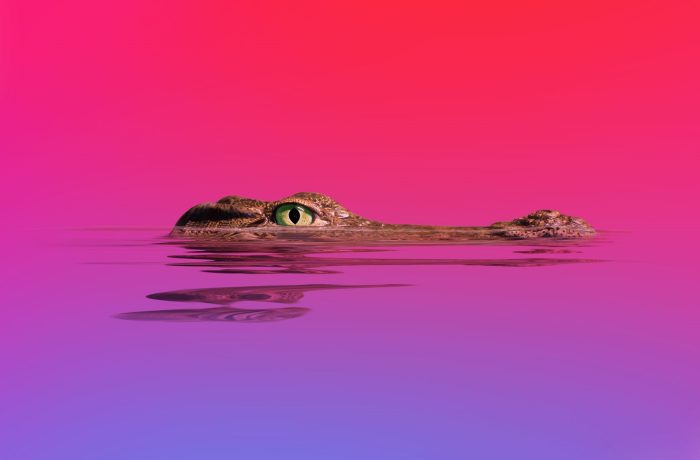 AMOS und Amatera als KI-Agenten getarnt